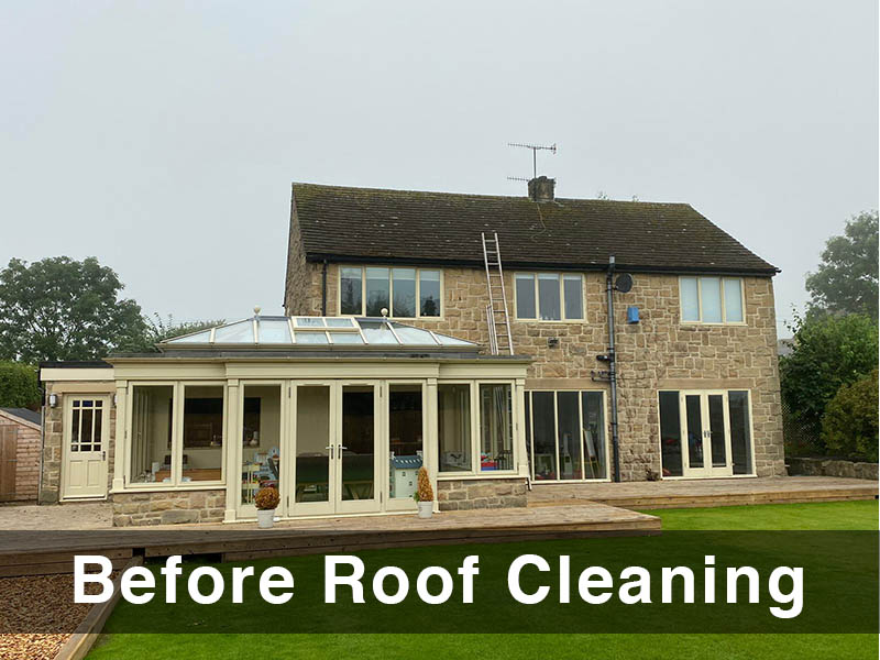 Before Roof Cleaning