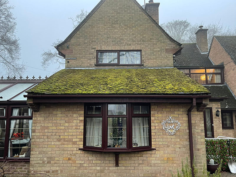 mossy roof worksop