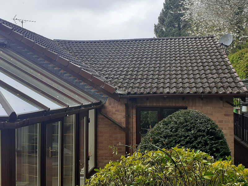 Mossy roof sheffield