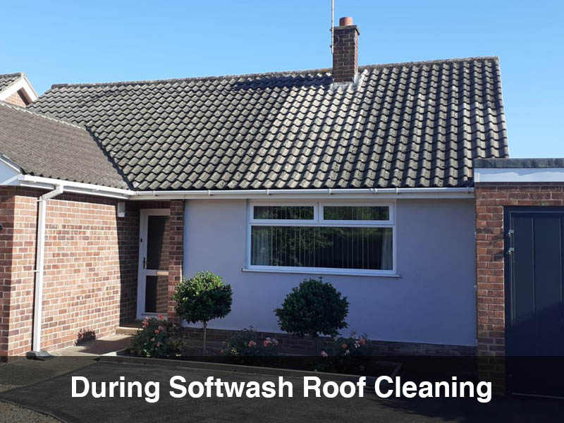 Softwash roof cleaning
