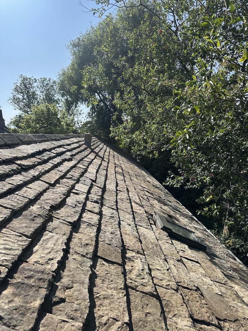 roof moss scrape